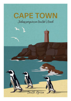 Penguin in Boulders Beach South Africa