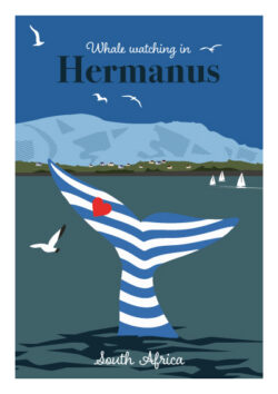 Hermanus whale watching - South African Poster
